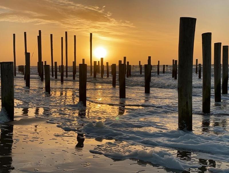 De Kameleon Villa Petten Kültér fotó